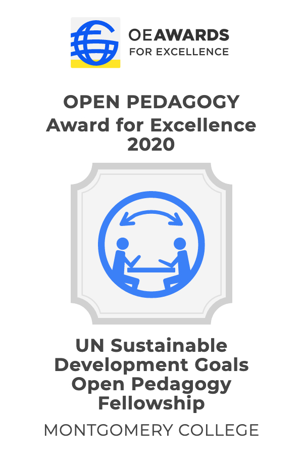 Open Education Fellowship Award 2020